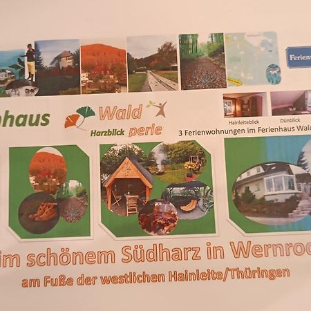 Fewo Brockenblick Wernrode Exterior foto